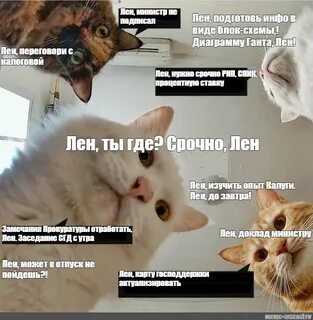 А я не лена