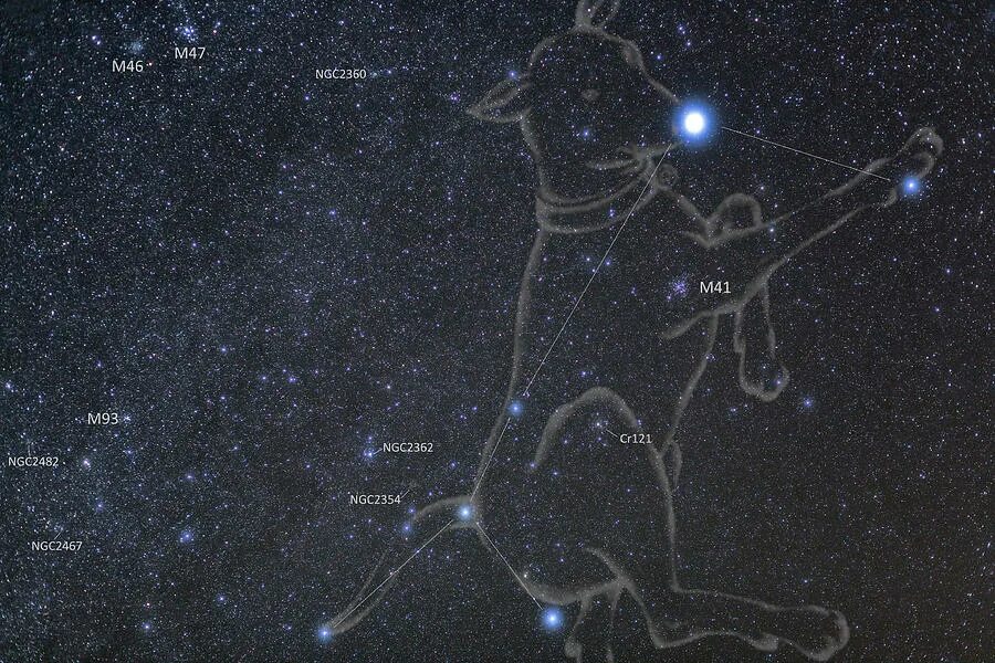 Яркая звезда в созвездии большого пса. Созвездие пса Сириус. Canis Majoris Созвездие. Сириус звезда большого пса. Созвездие Орион большой пес и малый пес.