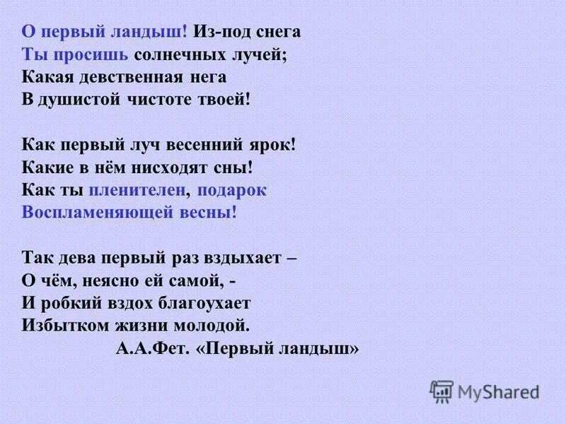 Описать любимое растение. Сочинение мой самый любимый цветок. Сочинение мой самый любимый цветок. Ромашка сочинение описание. Сочинение мой самый любимый цветок.