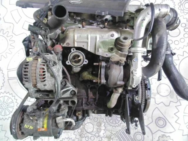 Двигатель п 12. Nissan primera 2003 мотор. Двигатель контрактный Nissan yd22ddti 2.2. P12 Nissan primera дизель 1.9. Yd22ddti. Diesel.