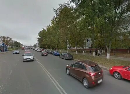 Авиценна запольная