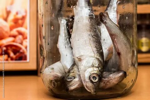 Сухая засолка рыбы
