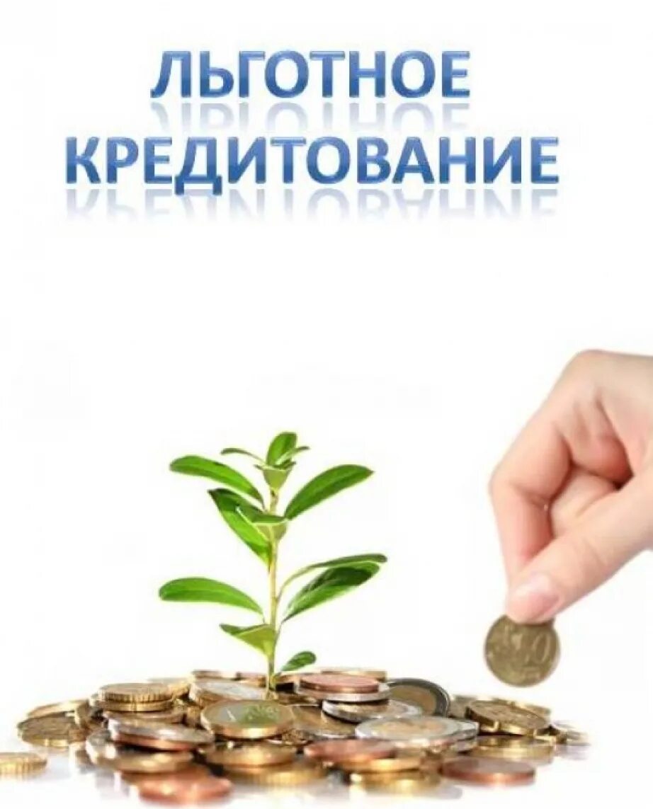 льготное кредитование. банки льготный кредит. банки льготный кредит. банки льготный кредит. субсидированный кредит.