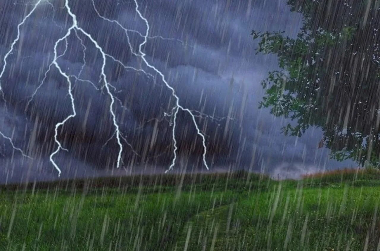 Запах дождя и молнии. Гроза в лесу. Фильм запах дождя и молнии. Запах дождя и молнии. Фильм запах дождя и молнии.