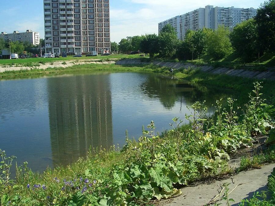 Парк Каскад кировоградских прудов. Кировоградские пруды Москва. Парк Каскад Городня. Реновация кировоградских прудов. Кировоградские пруды