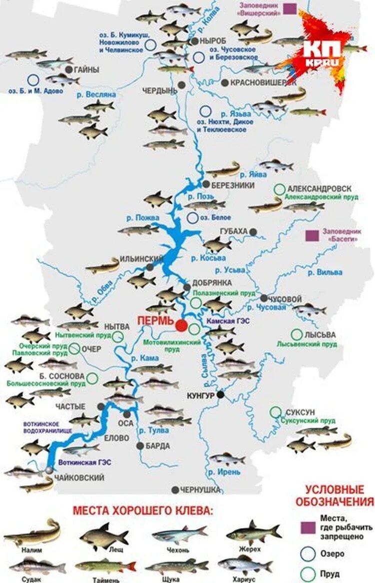 Клев в перми. Карта рыбных мест. Рыбацкие места на карте. Рыболовные места на карте. Места рыбалки на карте.