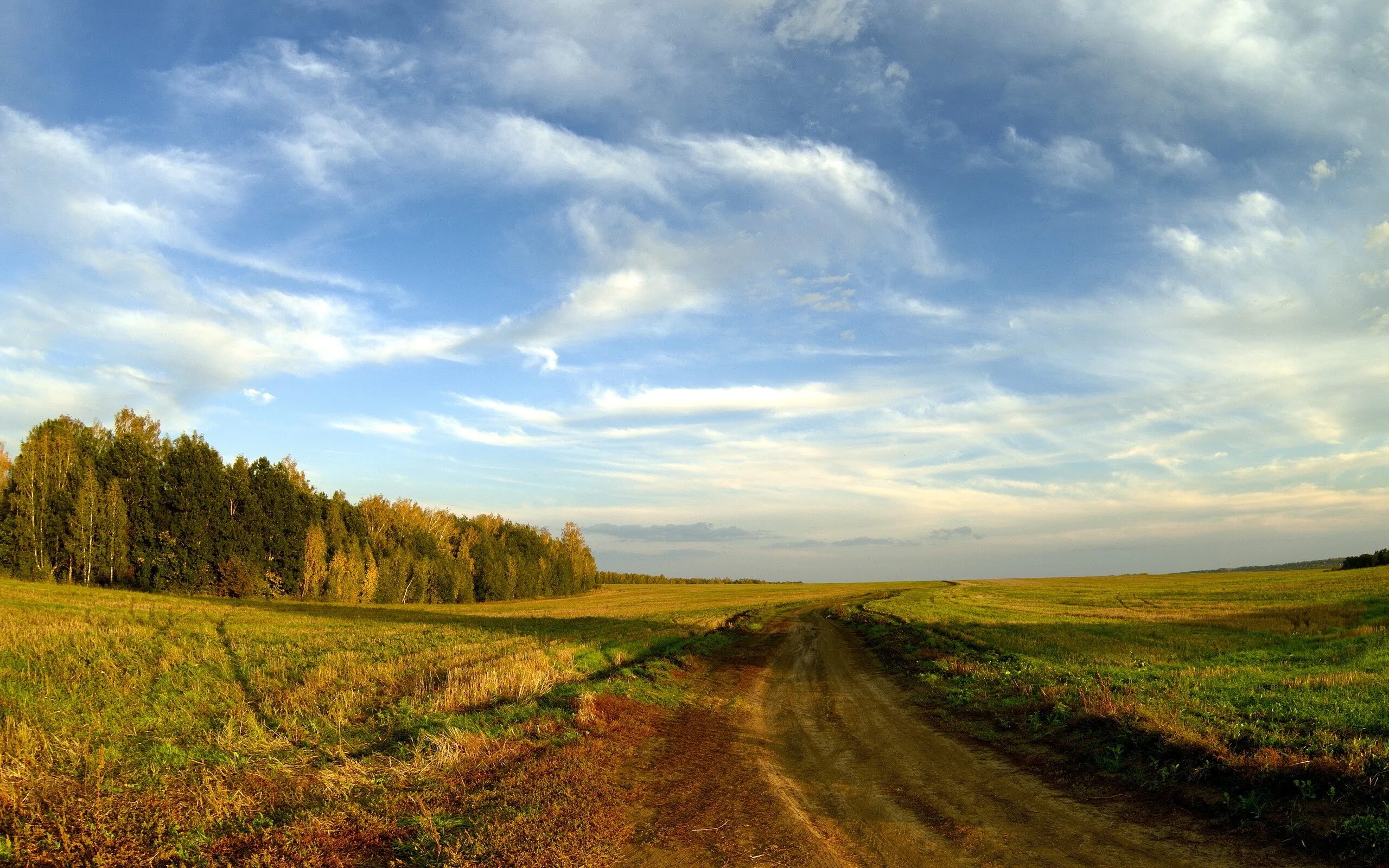 Далеко по широкой равнине