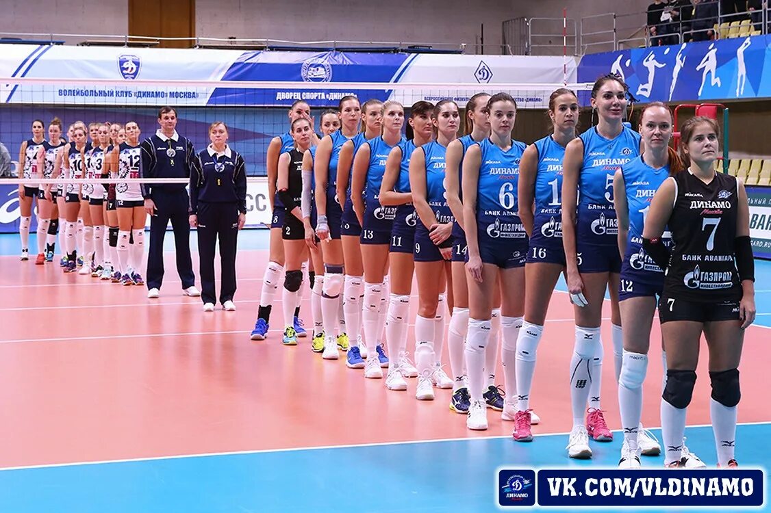 состав волейбольных клубах. состав волейбольных клубах. волейболистки россии женщины динамо. зенит казань волейбол команда. команда уралочка волейбол.