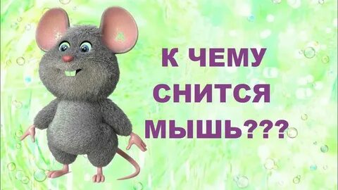 Мышку поймали сон