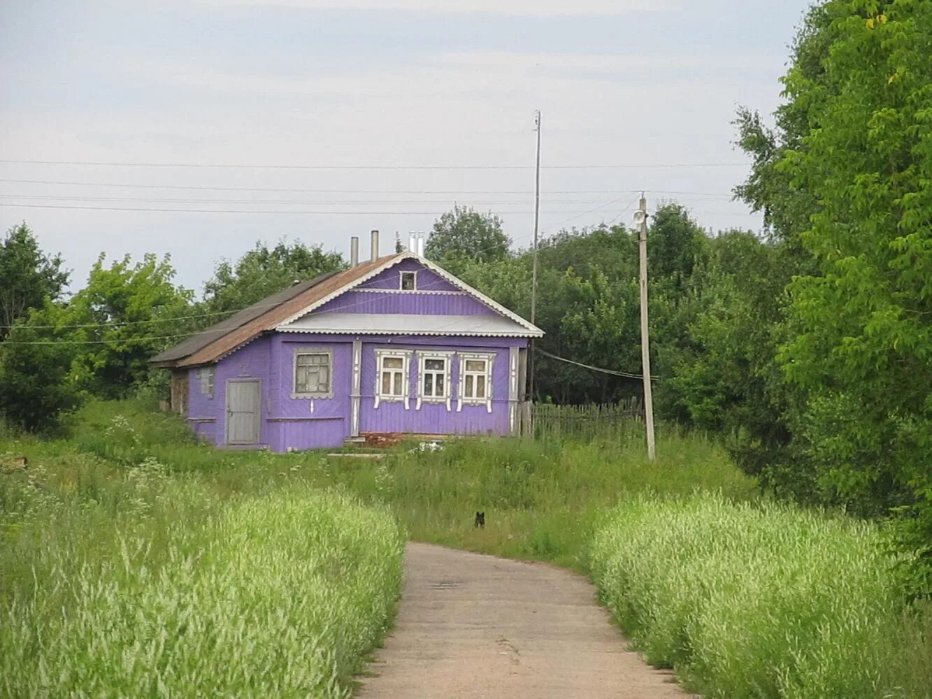 прогноз погоды золотово. прогноз погоды золотово. деревня золотово гороховецкий район. станция золотово воскресенский район. золотово озеро раменское.