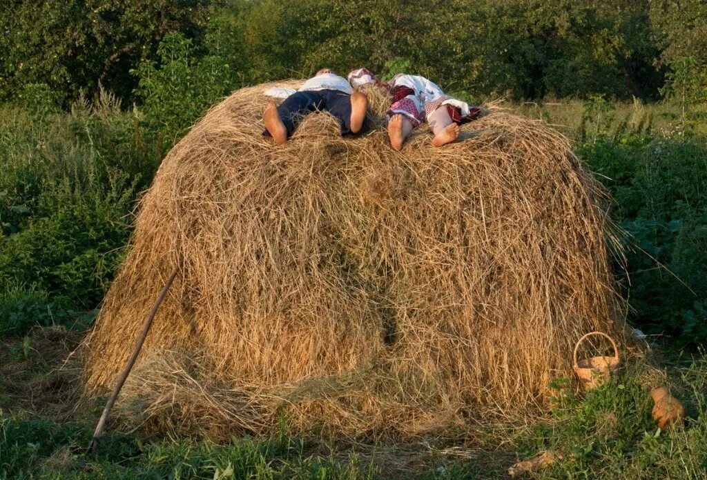 На сене лежит сама. Скирда сноп. Скирда омёт копна. Деревня сено. Стог сена.