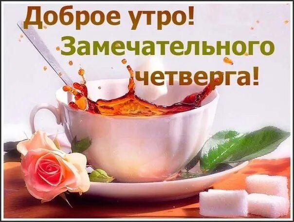 Февральское утро четверга. С добрым утром четверга. Доброе утро четверга. Открытки с добрым утром четверга прикольные. Доброе утро четверга мужчине.