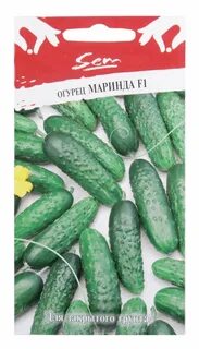 Сорт огурцов маринда
