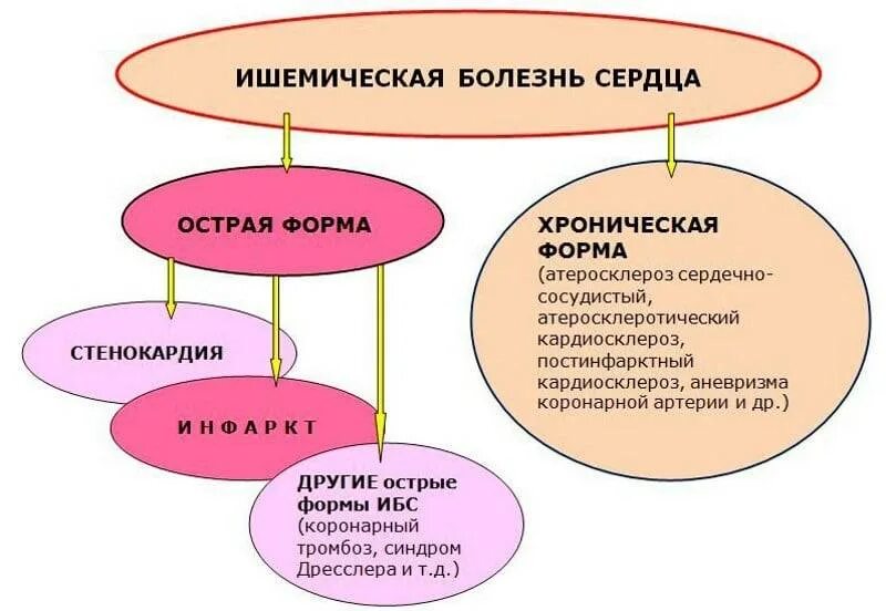 Как проявляется ишемия. Ишемическая болезнь сердца, ее формы, проявления.. Клинические проявления ишемической болезни сердца. Ишемическая болезнь сердца классификация симптомы. Формы ишемической болезни сердца.