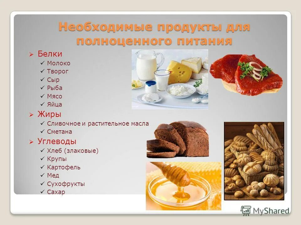 Сколько белков жиров в хлебе. Необходимые продукты. Сметана это жиры или белки. Сметана это белок или углевод. Сметана углеводы.