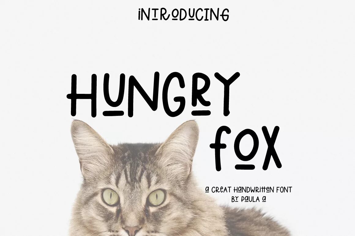 Fox font. Studia Fox шрифт. Шрифт лиса. Hungry Fox.