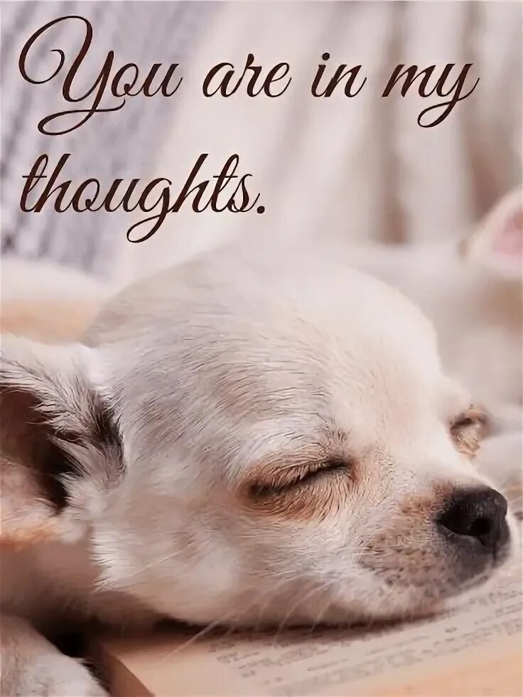 You are in my thoughts