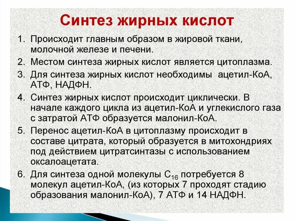 Синтез значение. Синтез жирных кислот и жира. этапы синтеза жирных кислот. синтез жирных кислот биохимия. синт аза жирных кислот.