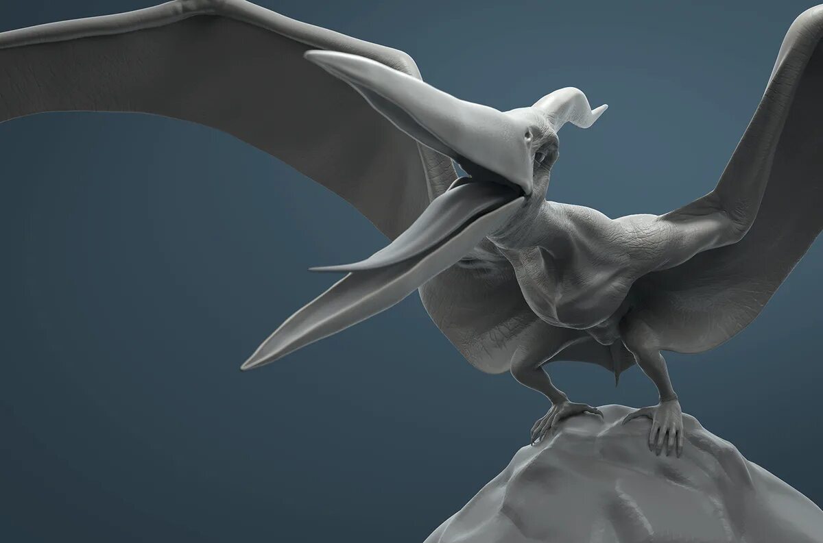 3д модели без регистрации. Птеранодон 3д. птеранодон 3d модель. птеродактиль 3д. 3d модели.