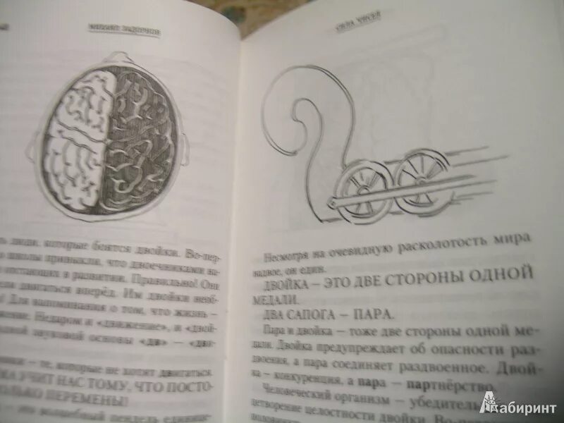 Книга сила чисел. Задорнов нумерология. сила чисел или задорная нумерология. михаил задорнов сила чисел. книга сила чисел задорнов.