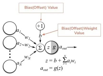 Network weights