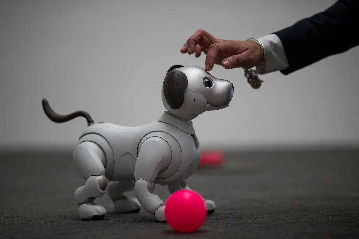 Роботы собаки на открытии игр. Робот собака Aibo. Робот пёс Айбо. Собака робот Айбо Япония. Собака робот Sony Aibo.