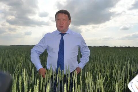 Ско ти