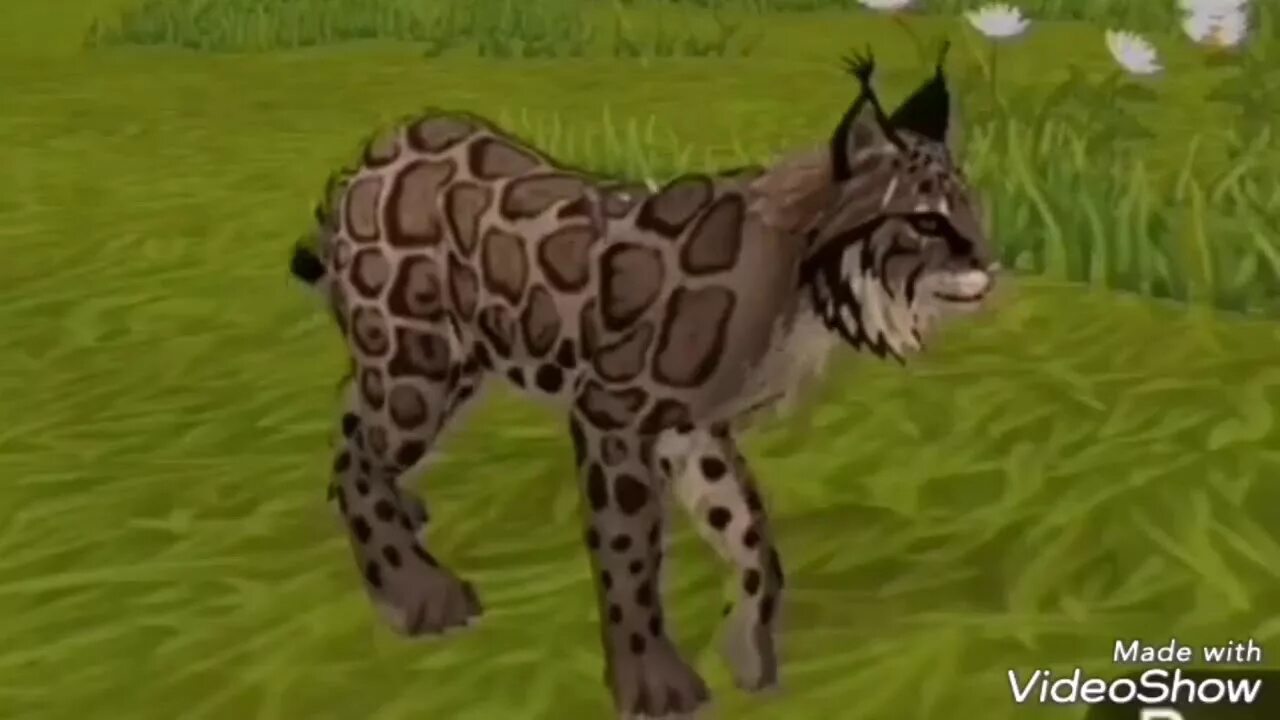 Скин девочка кошка. Скин рыси. Wild craft рысь. Wildcraft рысь. Вилд крафт вилд волк мистик.
