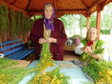Сбор советов