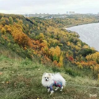Самурай парк швейцария нижний