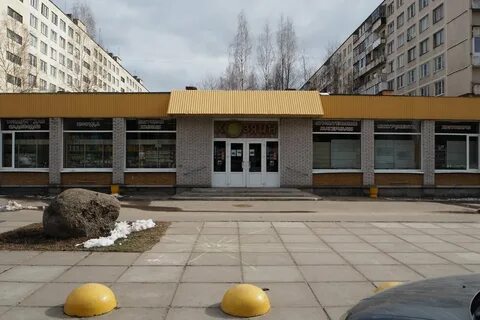 Сосновый бор 24