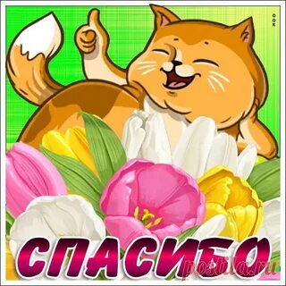 Спасибо сережа