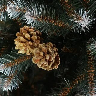 Элитные ели