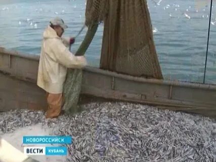 Помоги гобе добыть рыбу