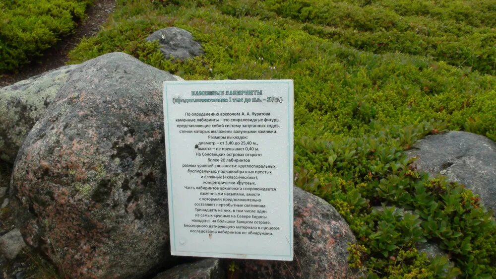 Белая аллея архангельск. Белая аллея архангельск
