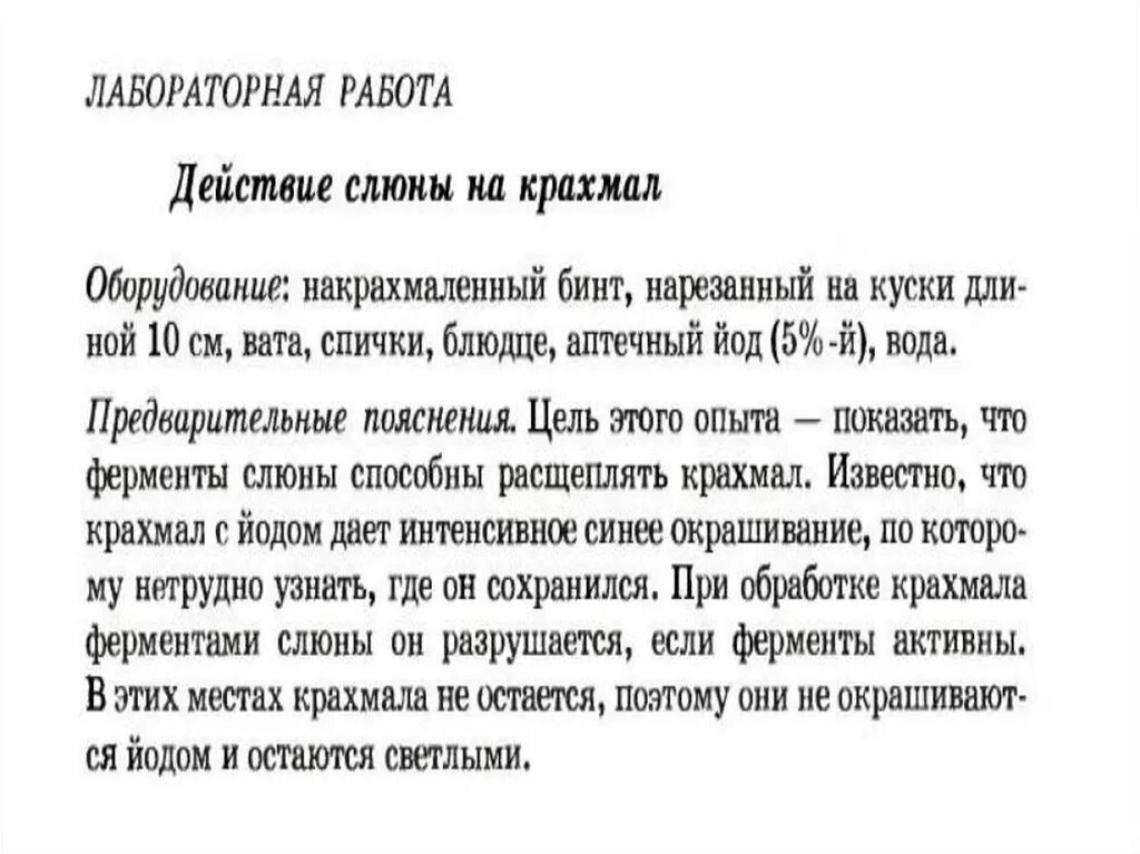 Лабораторная работа действие слюны. Лабораторная работа действие слюны на крахмал. Лабораторная работа воздействие слюны на крахмал. Лабораторная работа действие слюны на крахмал вывод. Исследование действие слюны на крахмал