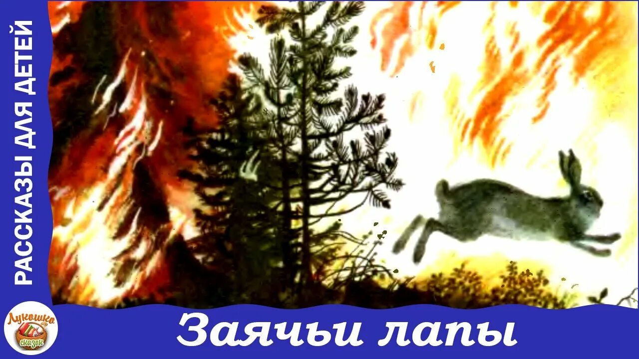 Как заяц спас деда заячьи лапы. Заячьи лапы паустовский лесной пожар. к. паустовский &quot;заячьи лапы&quot;. иллюстрация к произведению паустовского заячьи лапы. заячьи лапы паустовский иллюстрации к рассказу.