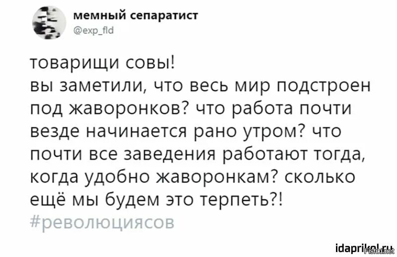 Про Жаворонков и сов. Мемы про сов и Жаворонков. Шутки про сову и жаворонка. Анекдот про сов и Жаворонков.