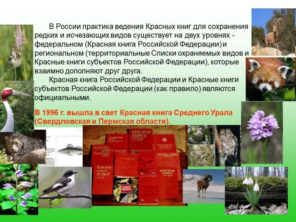 Сохранение исчезающих видов растений