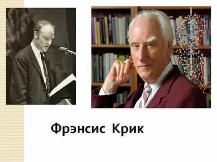 Фрэнсис крик