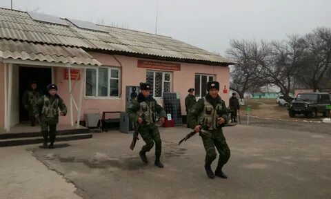Номер заставы