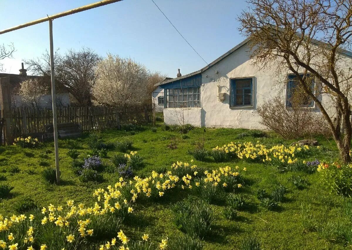 Кукушкино раздольненский район. Село славное раздольненского района крым. Кукушкино раздольненский район школа. Кукушкино раздольненский район. Кукушкино раздольненский район.