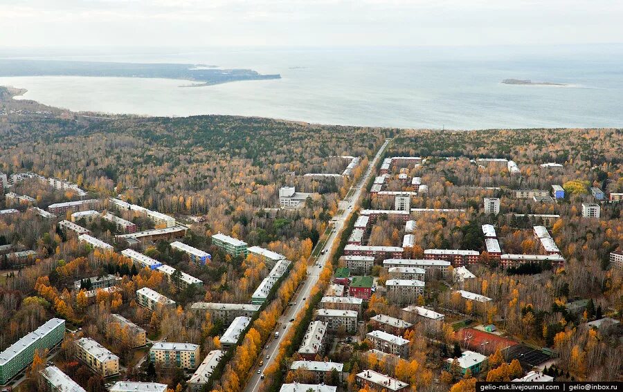 Академгородок новосибирск лето. Морской проспект академгородок новосибирск лето. Академгородок новосибирск. Новосибирский академгородок 1957. Академгородок жизнь.