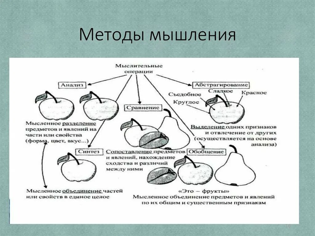 Метод мыслительных операций. Методы мышления. Алгоритм мышления. Алгоритмическое мышление. Алгоритм процесса мышления.