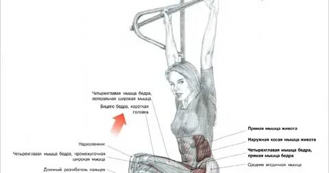 Подъем коленей
