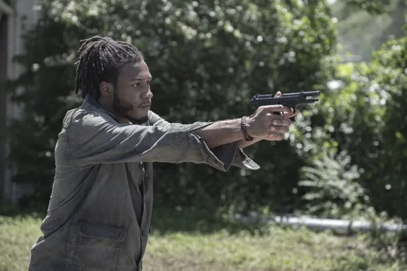The walking dead 1 5