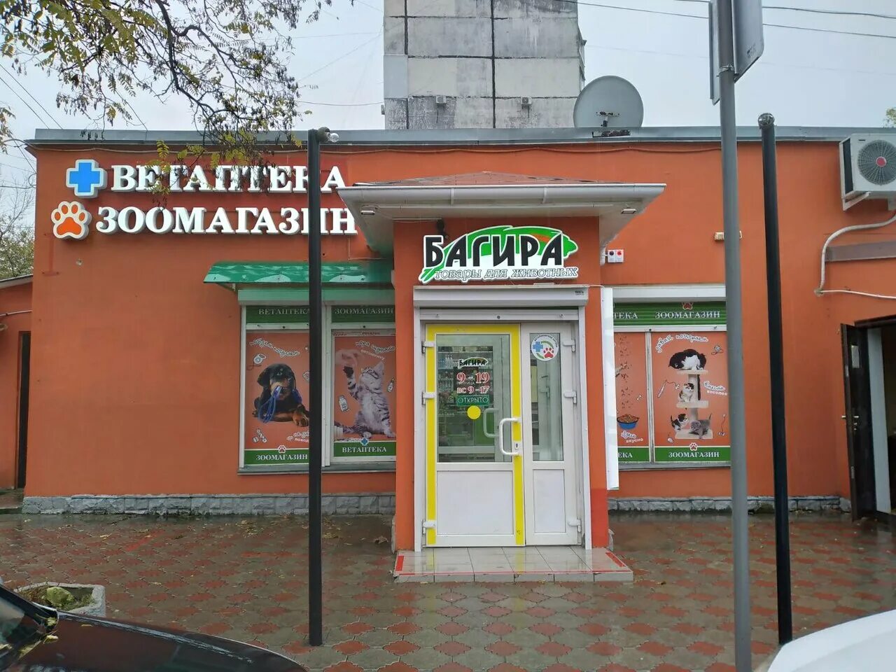 багира зоо. багира интернет магазин для животных в симферополе. багира севастополь зоомагазин. багира интернет магазин для животных в симферополе. багира интернет магазин для животных в симферополе.