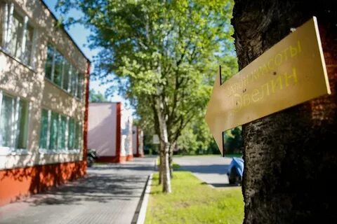 Переулки калининград