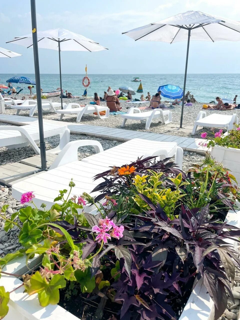 Гамма ольгинка бассейн. Ола резорт. Ола резорт. Ола резорт. Ольгинка краснодарский край гостиницы.