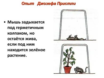 Изображенный на рисунке опыт доказывает